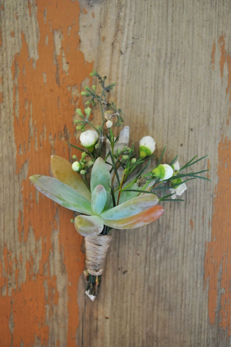 14 Stylish the Empty Vase Boerne Tx 2024 free download the empty vase boerne tx of 122 best wedding 2014 images on pinterest marriage dream wedding within rustic wedding succulent boutonniere