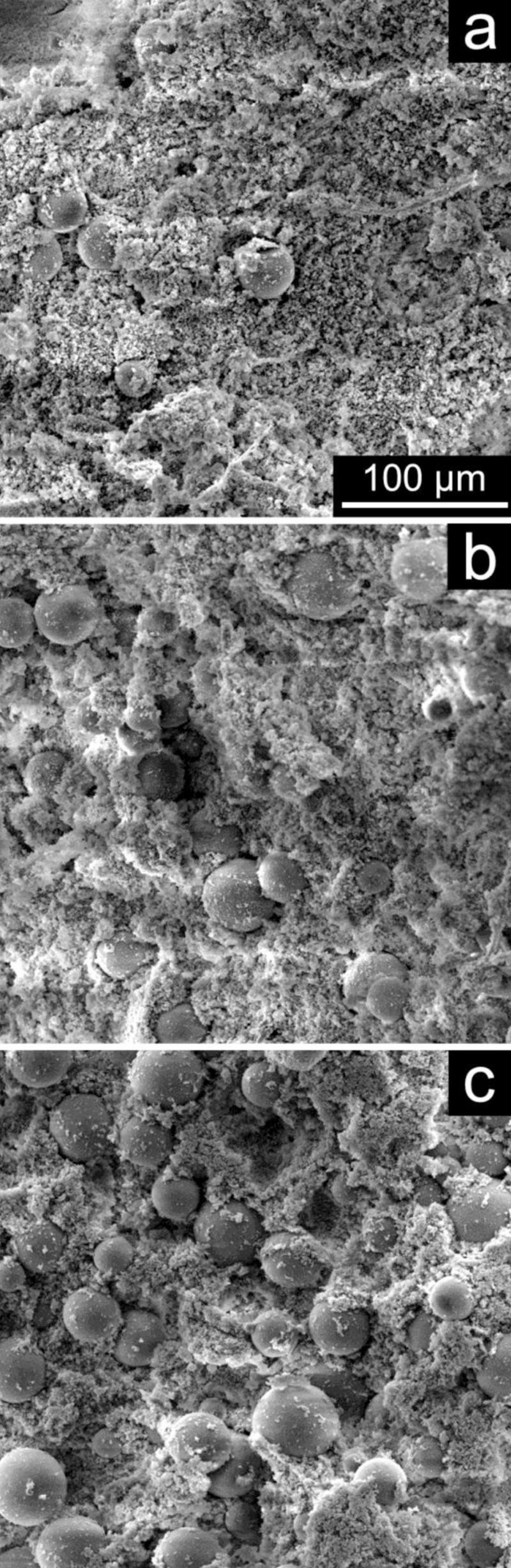 26 Nice Threshold Vase Filler Rocks 2024 free download threshold vase filler rocks of meat and muscle biology the influence of particle size and protein throughout figure 6