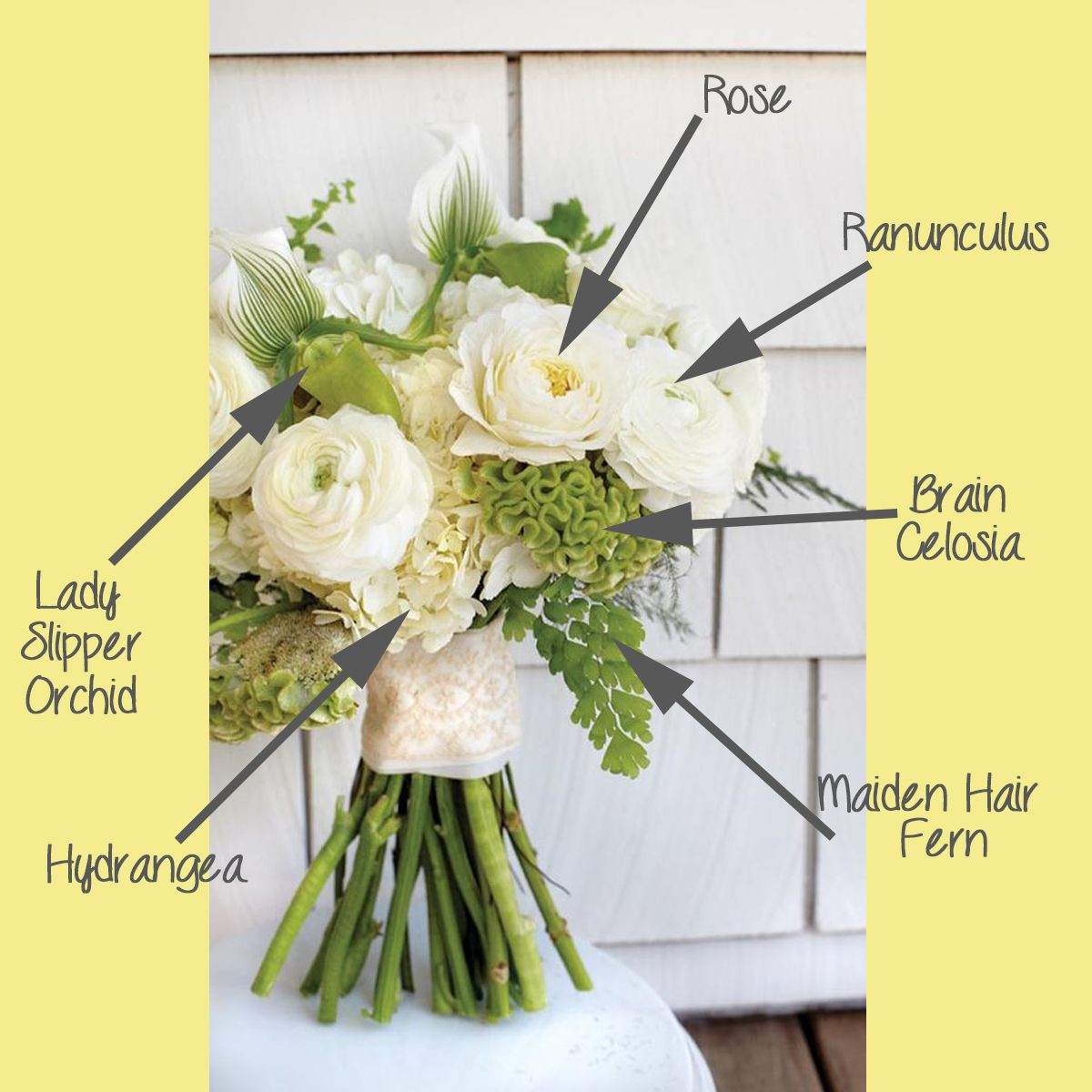 20 Spectacular Tiffany Tulip Vase 2024 free download tiffany tulip vase of white and green textural bouquet breakdown white bouquets and with centerpieces