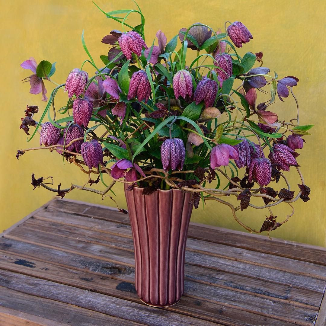 13 Stunning Traditional Dutch Tulip Vases 2024 free download traditional dutch tulip vases of fritillaria meleagris and helleborus orientalis in a vase from inside fritillaria meleagris and helleborus orientalis in a vase from hanne bertelsen clausdal