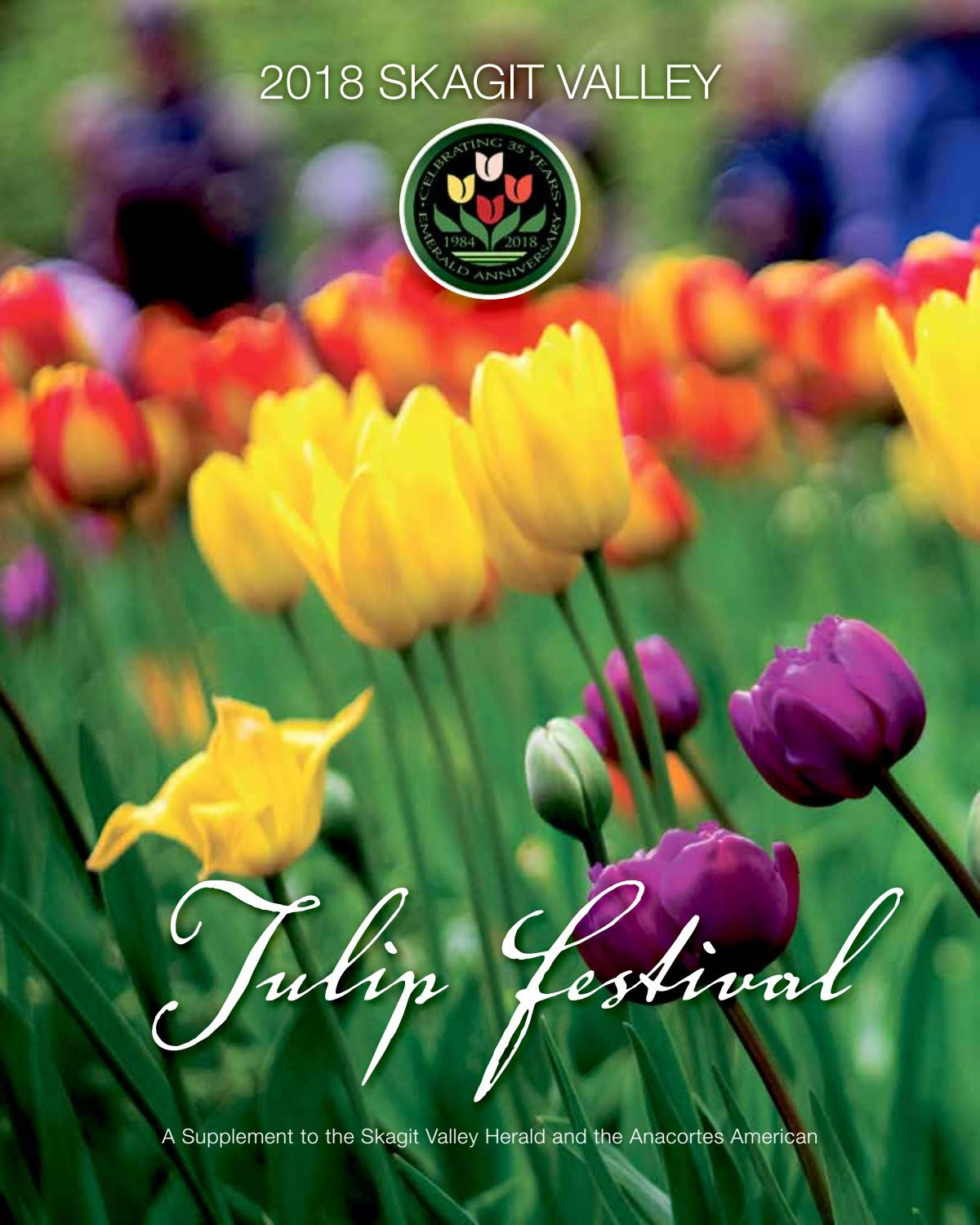 13 Stunning Traditional Dutch Tulip Vases 2024 free download traditional dutch tulip vases of tulip festival 2018 skagit valley by skagit publishing issuu within page 1