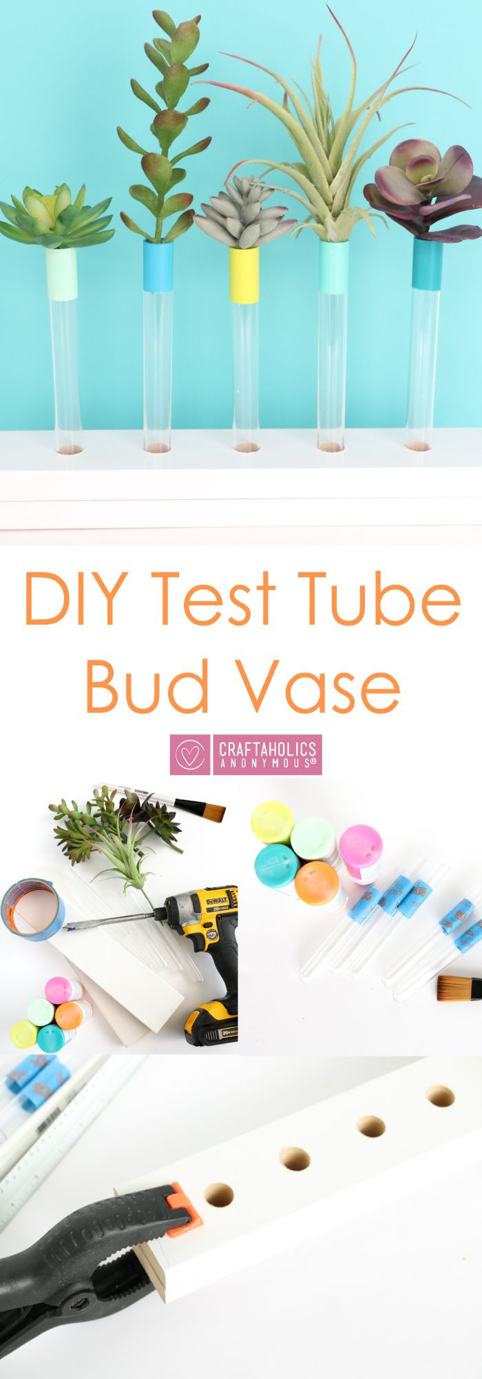 10 Best Tube Bud Vase 2024 free download tube bud vase of diy test tube bud vase diys pinterest test tubes tutorials throughout craftaholics anonymousa diy test tube bud vase