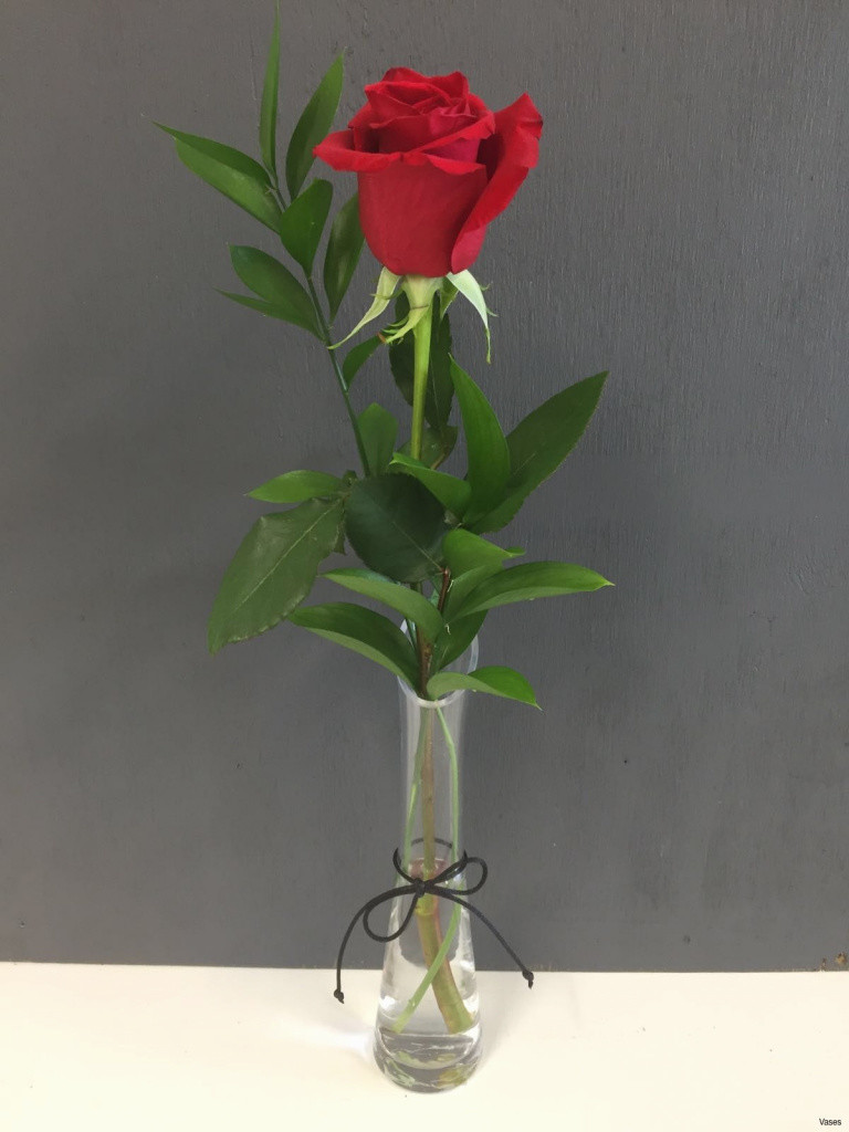 12 Best Turquoise Flower Vase 2024 free download turquoise flower vase of lovely roses red in a vase singleh vases rose single i 0d invasive pertaining to lovely roses red in a vase singleh vases rose single i 0d invasive design of lovely