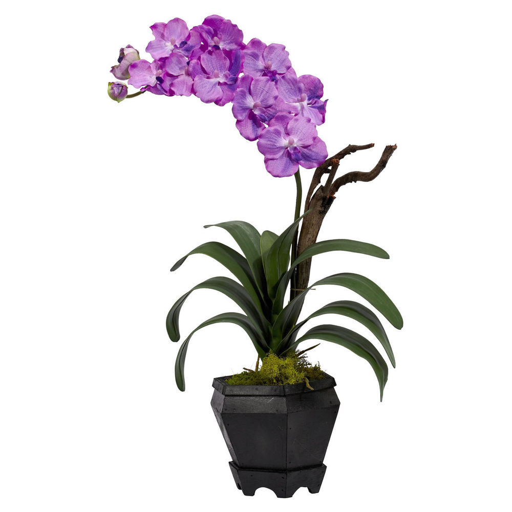 16 Stylish Vanda orchid Glass Vase Method 2024 free download vanda orchid glass vase method of 24 artificial silk fake vanda orchid purple flower arrangement w within 24 artificial silk fake vanda orchid purple flower arrangement w black vase ebay