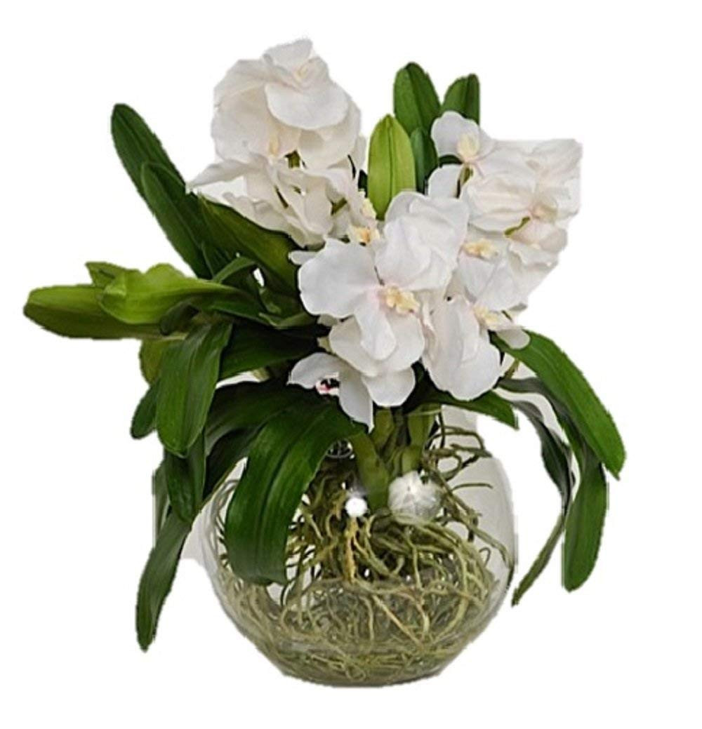 16 Stylish Vanda orchid Glass Vase Method 2024 free download vanda orchid glass vase method of amazon com the french bee watergarden collection 3 silk vanda with amazon com the french bee watergarden collection 3 silk vanda orchids in a glass bowl whi