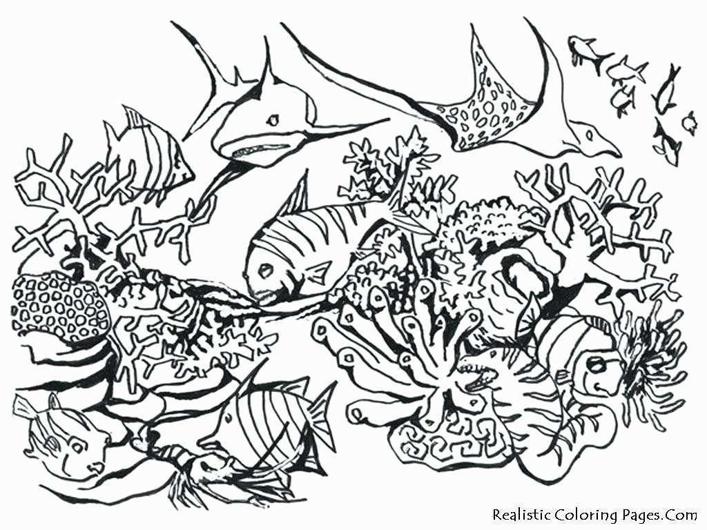 26 Unique Vase Fish Tank 2024 free download vase fish tank of fish bowl coloring page awesome vases flower vase coloring page within fish bowl coloring page luxury coloring pages for adults line ocean fish realistic tank page kids