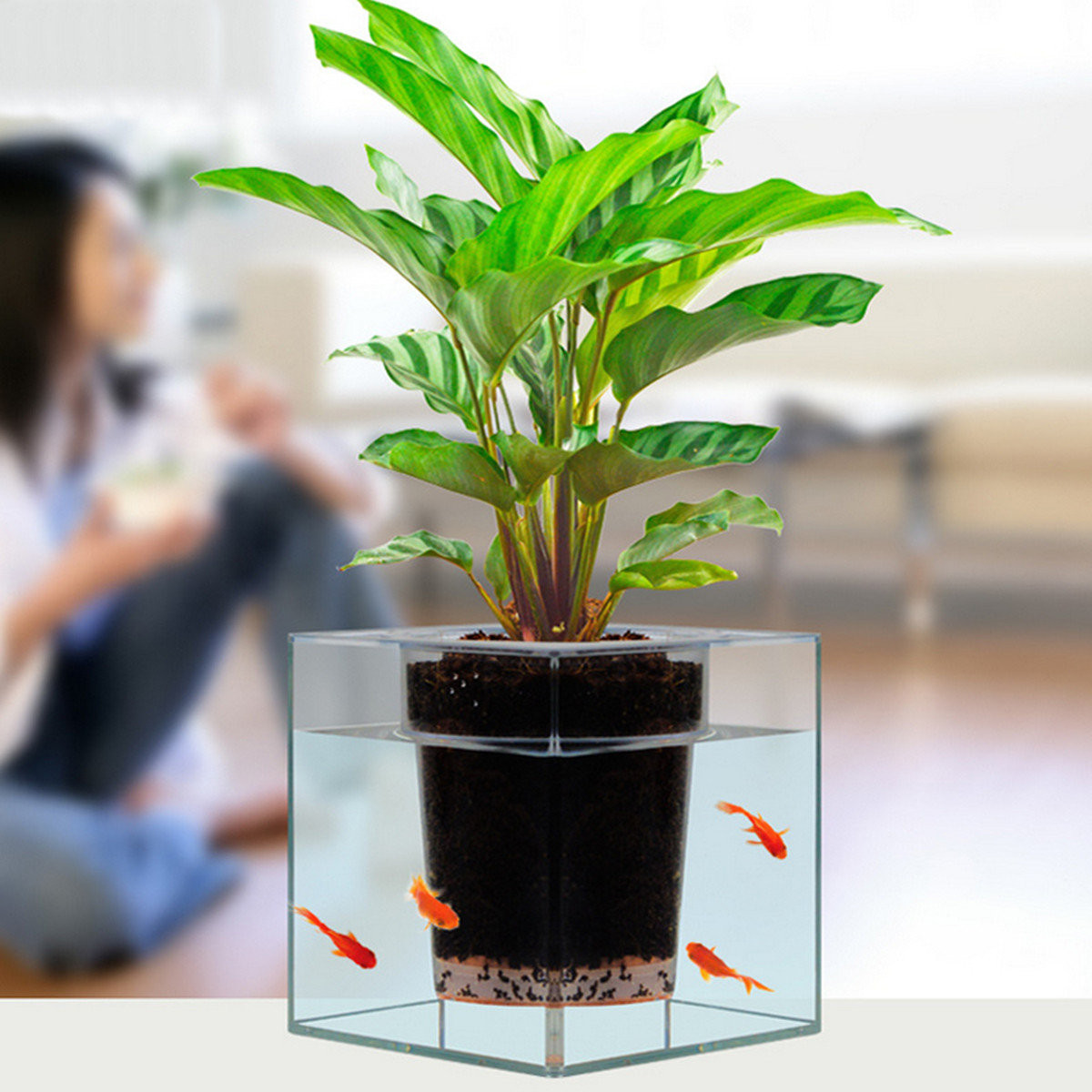 26 Unique Vase Fish Tank 2024 free download vase fish tank of fish tank planter diy aquaponics diy ecogarden gallon fish tank kit pertaining to in clear aquarium pot planter plant fish tank vase home decor with fish tank planter diy