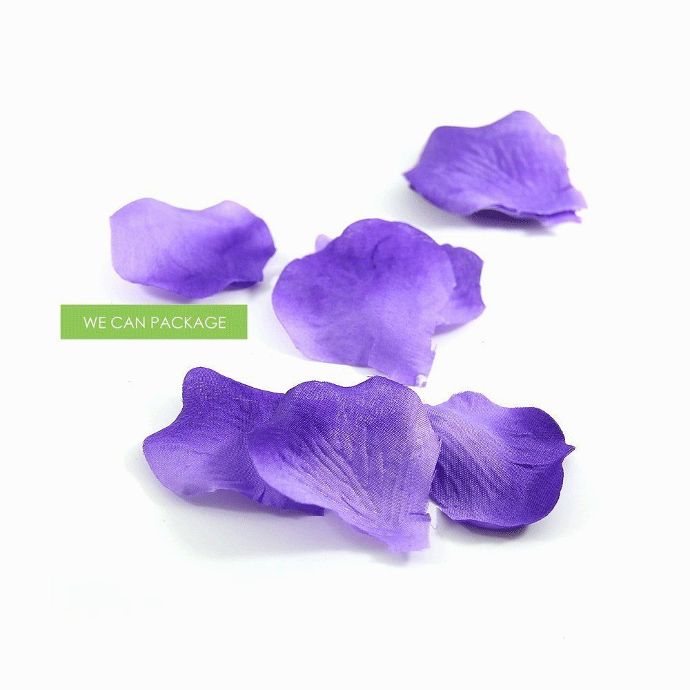 11 Spectacular Vase Of Irises 2024 free download vase of irises of luxury vases disposable plastic single cheap flower rose vasei 0d with regard to inspirational amazon we can package 300 silk rose petals for wedding of luxury vases dispos