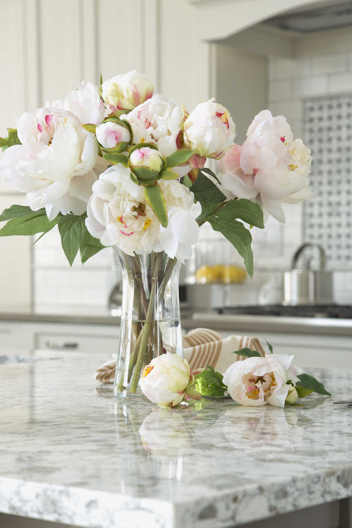 17 Perfect Vase Of Peonies Monet 2024 free download vase of peonies monet of easy feng shui tips decorate your house with white pertaining to whitepeonies gettyimages 608158653 5a2de1b296f7d000377086cc