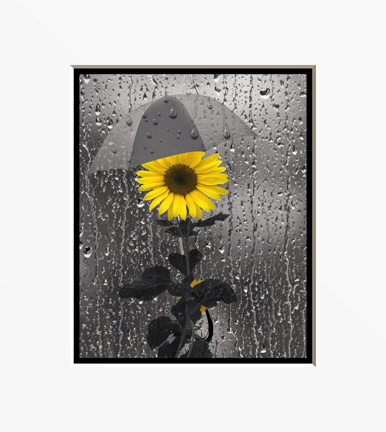 22 Awesome Vase Of Sunflowers Painting 2024 free download vase of sunflowers painting of yellow gray wall art beautiful yellow gray wall art graphy sunflower pertaining to yellow gray wall art beautiful yellow gray wall art graphy sunflower rain ba