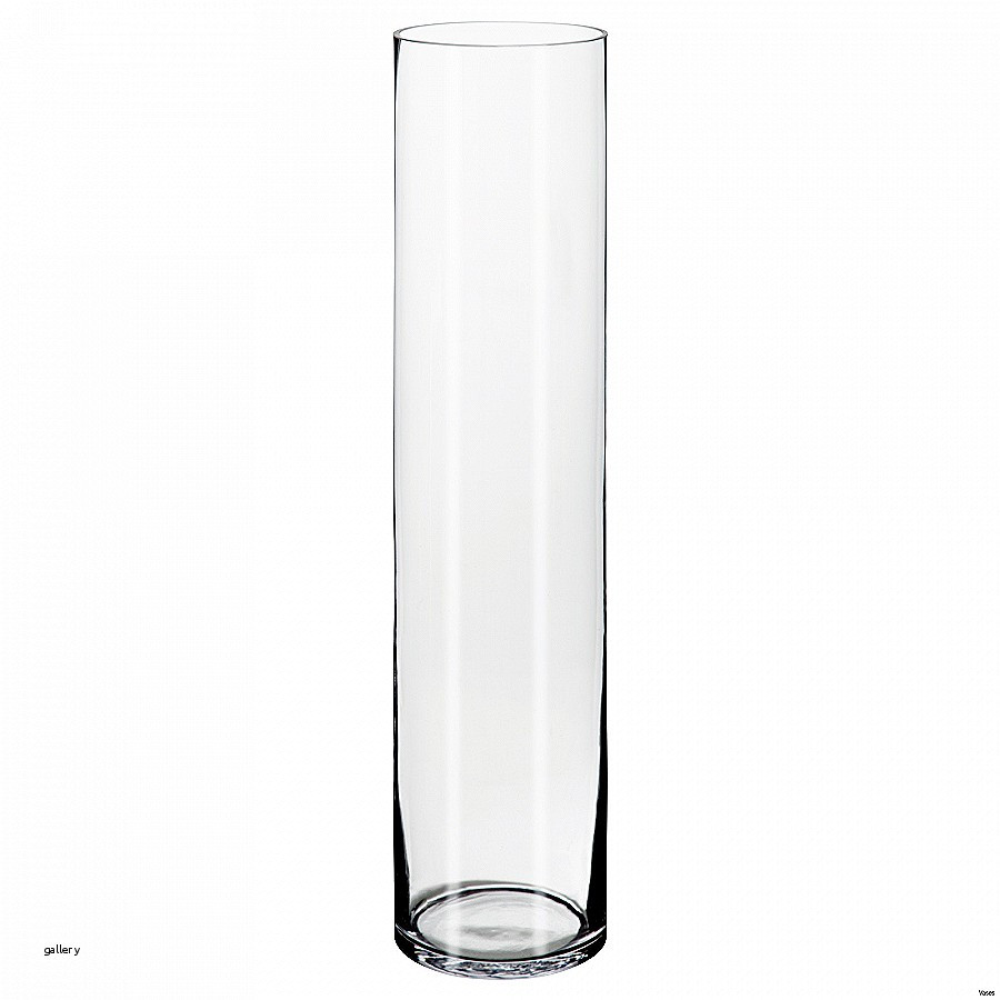 23 Awesome Vase Rentals 2024 free download vase rentals of glass vases cheap glass vases wholesale lovely glass vases bulk throughout glass vases cheap glass vases wholesale beautiful plastic cylinder vases fresh acrylic vase bulk wh