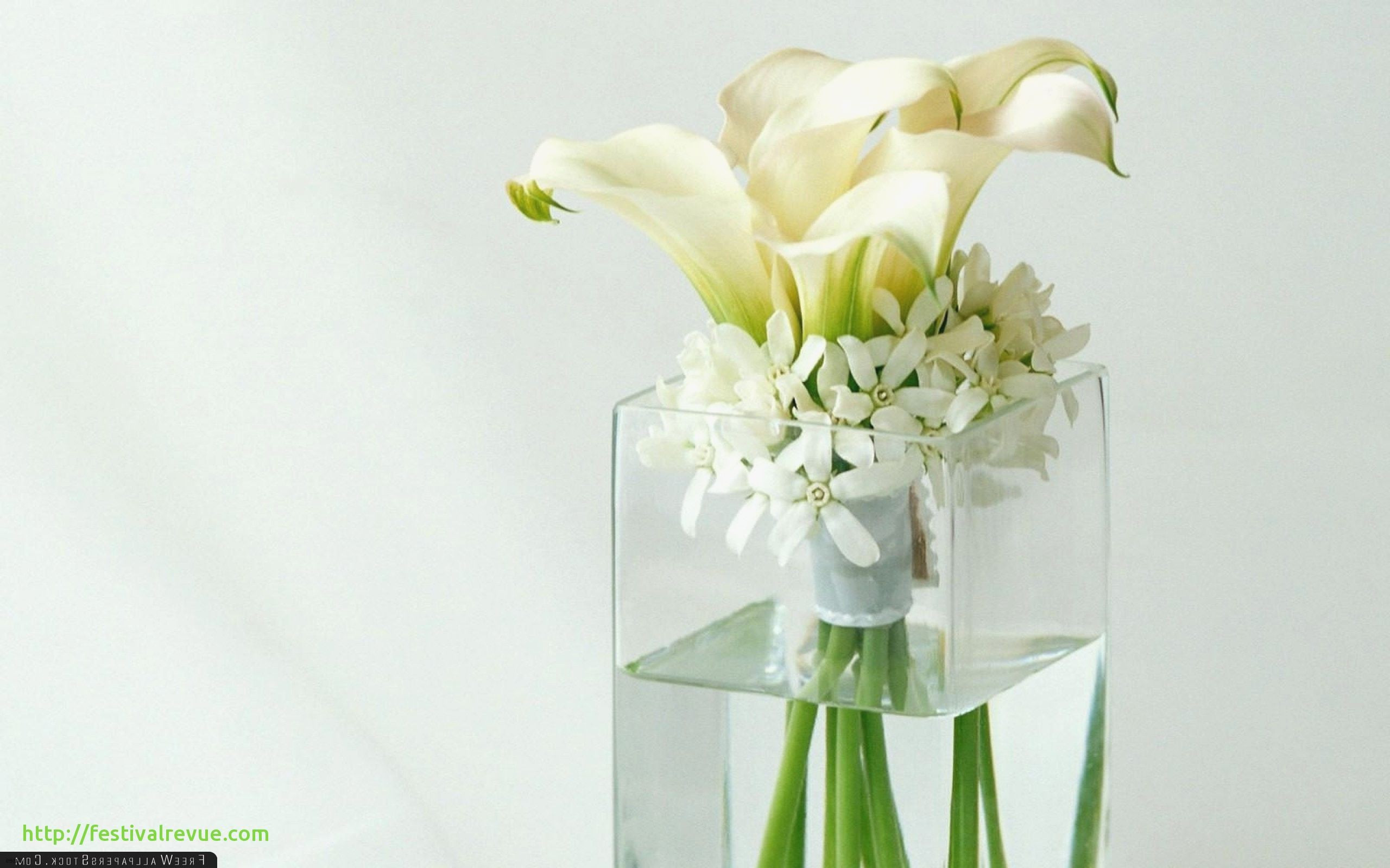 28 Ideal Vase source Nyc 2024 free download vase source nyc of luxury fake flowers flowers wallpapers doyanqq me within nature flowers white wallpaper new tall vase centerpiece ideas vases flowers in water 0d artificial