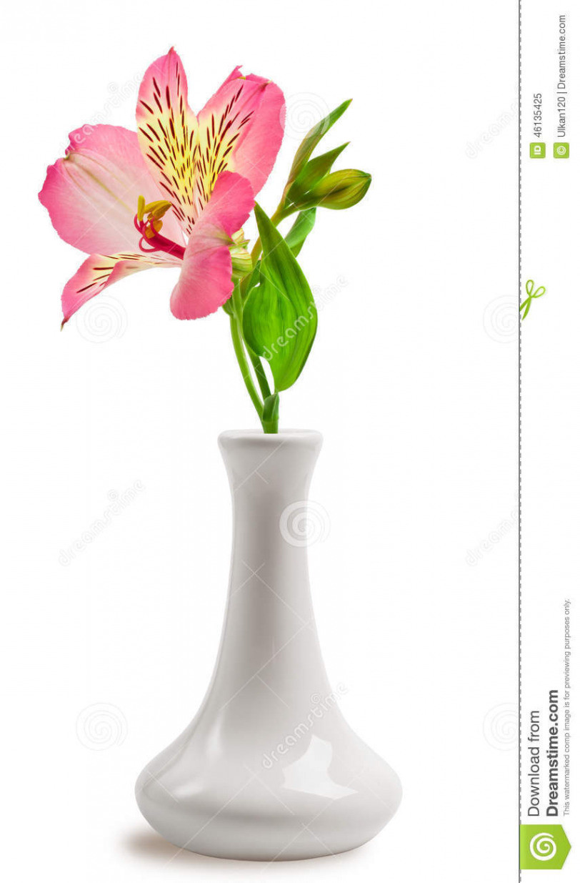 28 Unique Vase with Lilies 2024 free download vase with lilies of lily for kids new serena and lily chair best wicker outdoor sofa 0d with regard to lily for kids awesome liliesinvaseh vases lily in vase pink flowers bouquet vasei 0d li