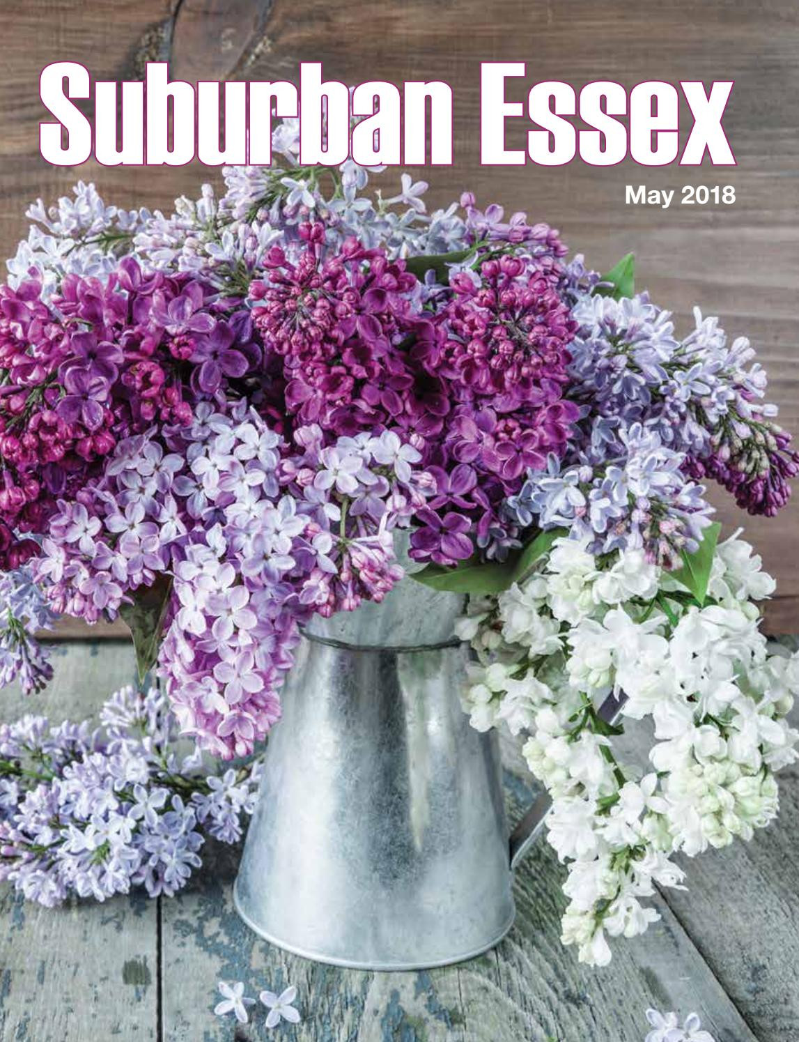 18 Perfect Vase with Neck Lid and Big Fat Body 2024 free download vase with neck lid and big fat body of suburban essex by vicinity media group issuu for page 1