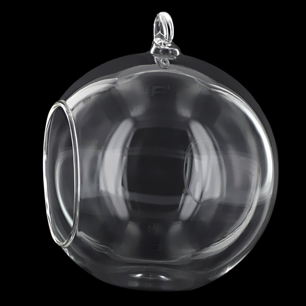 16 Perfect Vase with Suction Cup 2024 free download vase with suction cup of aliexpress com buy 4 inches diameter clear glass pendant vase for with regard to aliexpress com buy 4 inches diameter clear glass pendant vase for flower of operatio