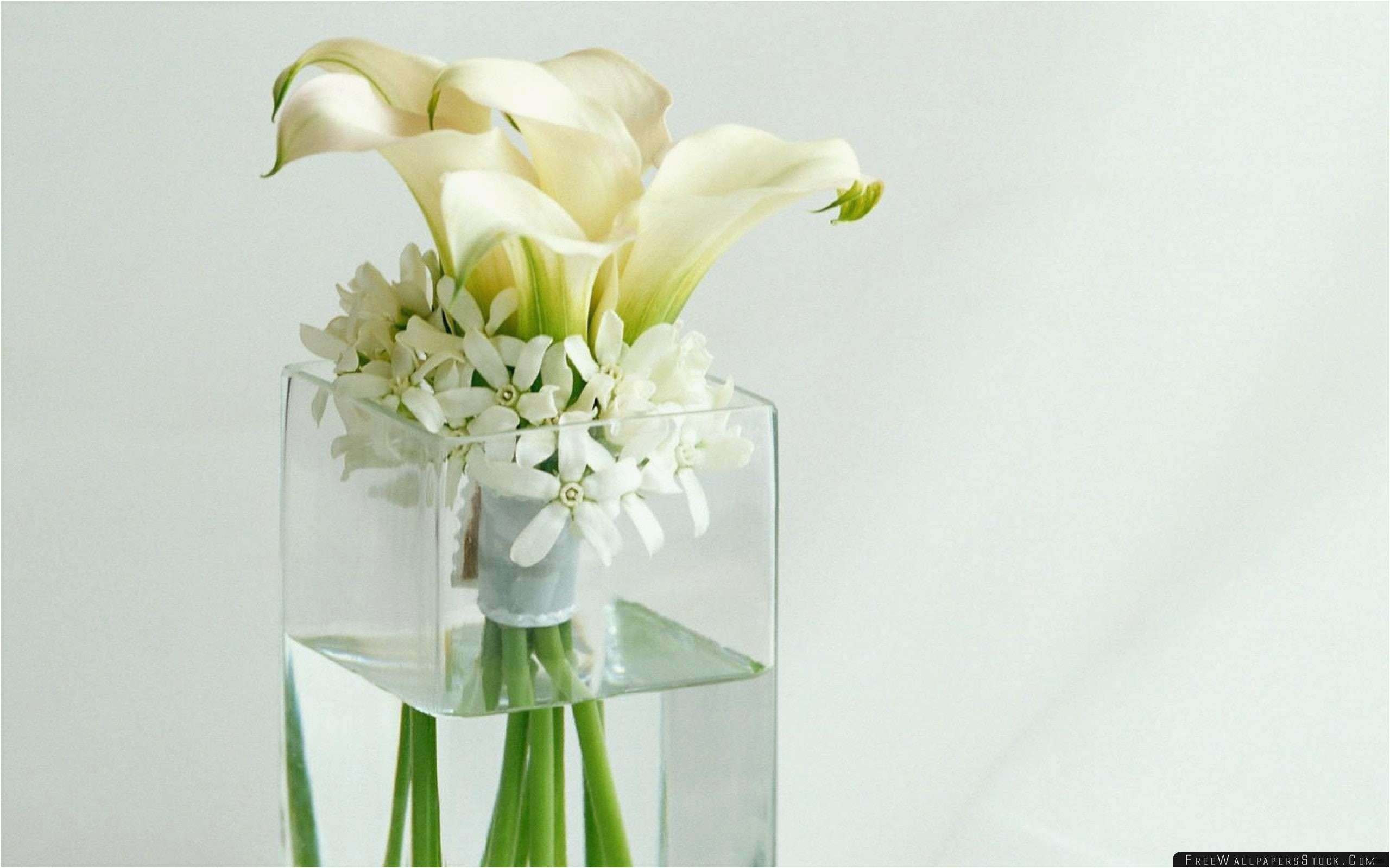 10 Fashionable Vw Flower Vase 2024 free download vw flower vase of unique wedding ideas beautiful top result diy engagement gifts new inside unique wedding ideas fresh 47 unique wedding shower favor ideas 2319 plan