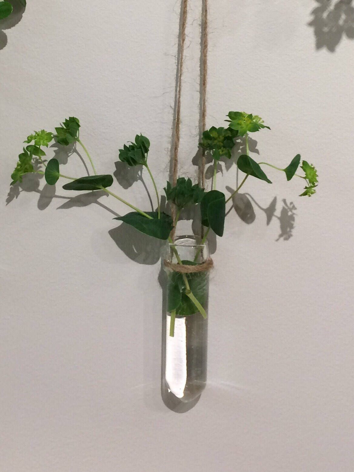 14 Best Wall Hanging Bud Vase 2024 free download wall hanging bud vase of hanging glass vase test tube vase hanging glass planter for hanging glass vase test tube vase hanging glass planter handmade glass glass wall vase glass wall planter