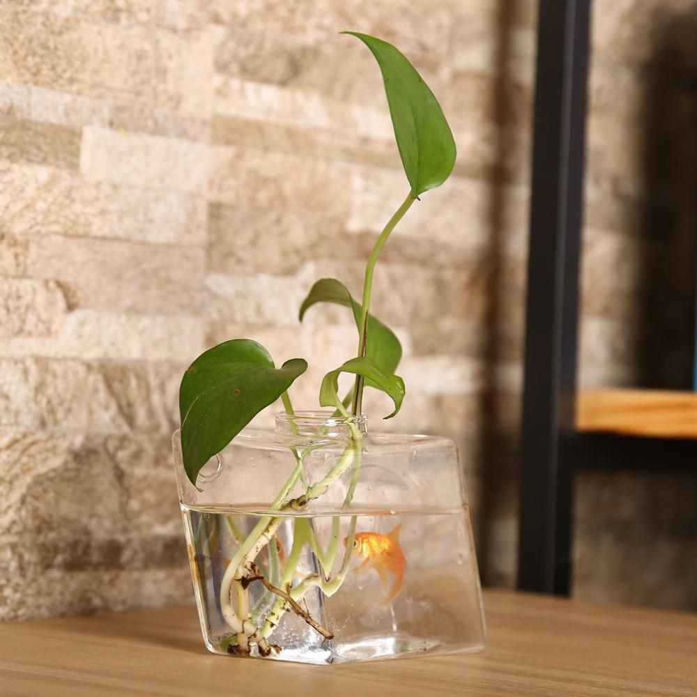 11 Trendy Wall Mounted Flower Vase 2024 free download wall mounted flower vase of diamond shaped transparent wall hanging vase creative plant decor regarding diamond shaped transparent wall hanging vase