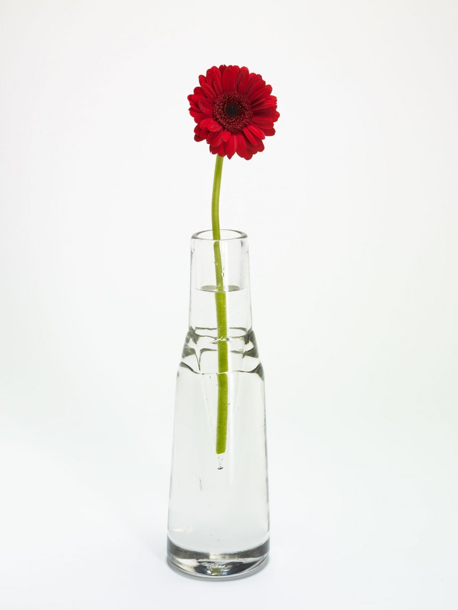 20 Stylish Water Beads Vase 2024 free download water beads vase of flowers for vases in water flowers healthy in gl water flower vases quite simply with rice to cleaning flower