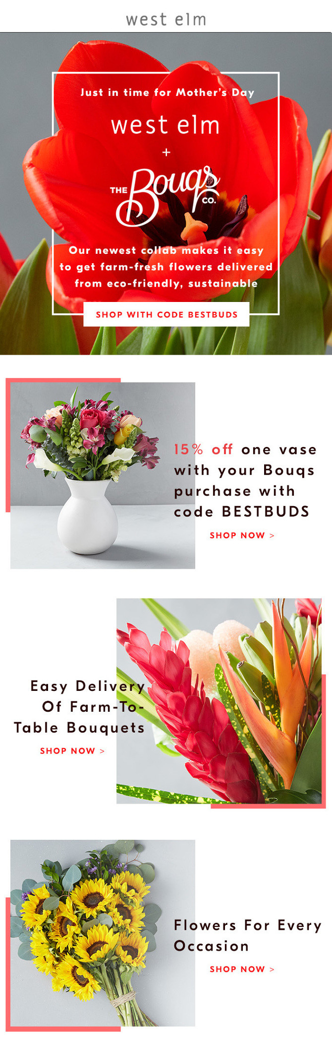 29 Amazing West Elm Bud Vase 2024 free download west elm bud vase of west elm email designs www memoliward com with regard to using unique typographic solutions and unexpected layout choices each email design below articulates the brand p