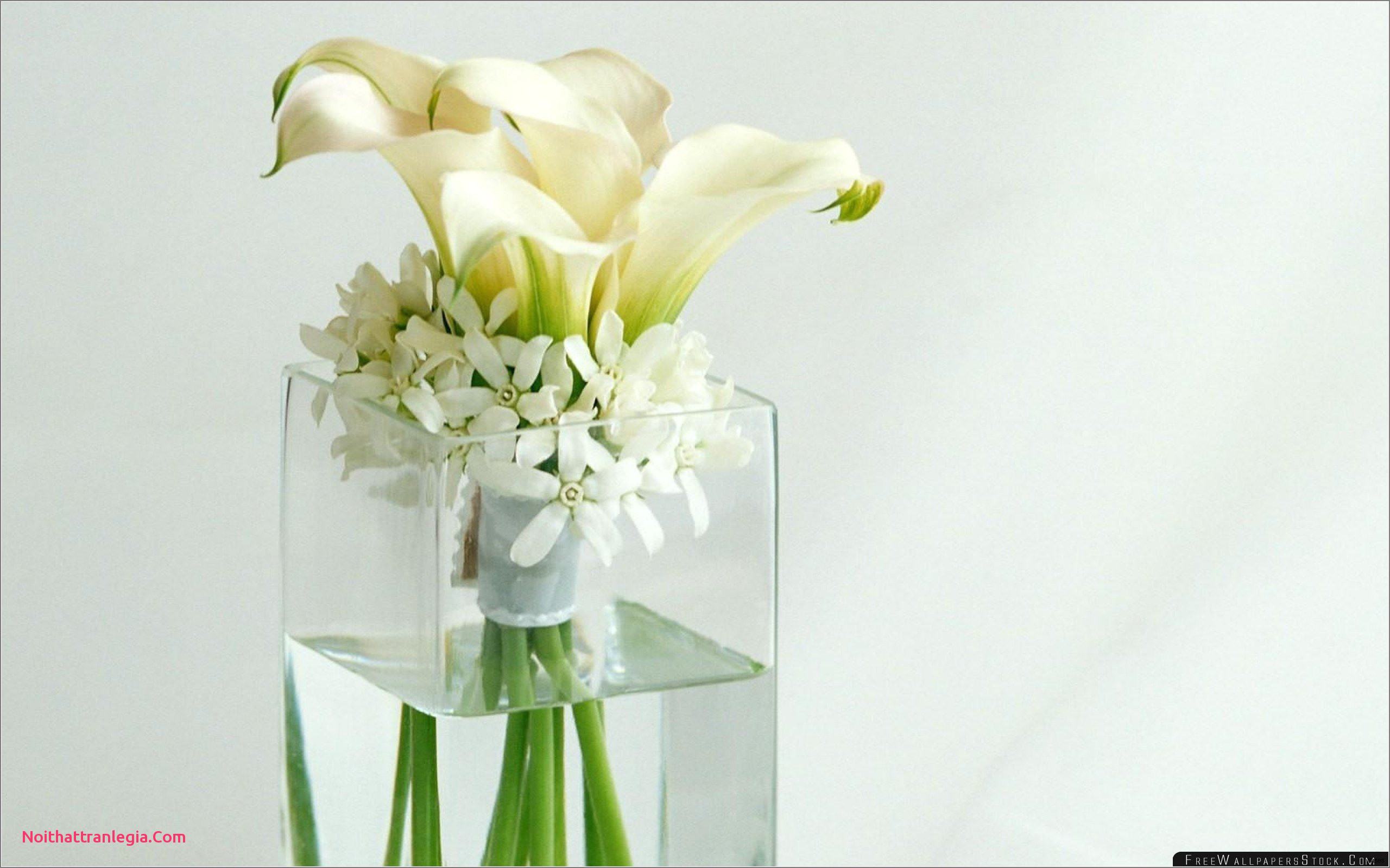 26 Trendy White Cylinder Vase 2024 free download white cylinder vase of 20 wedding vases noithattranlegia vases design for wedding petals amazing tall vase centerpiece ideas vases flowers in water 0d artificial 2560 87