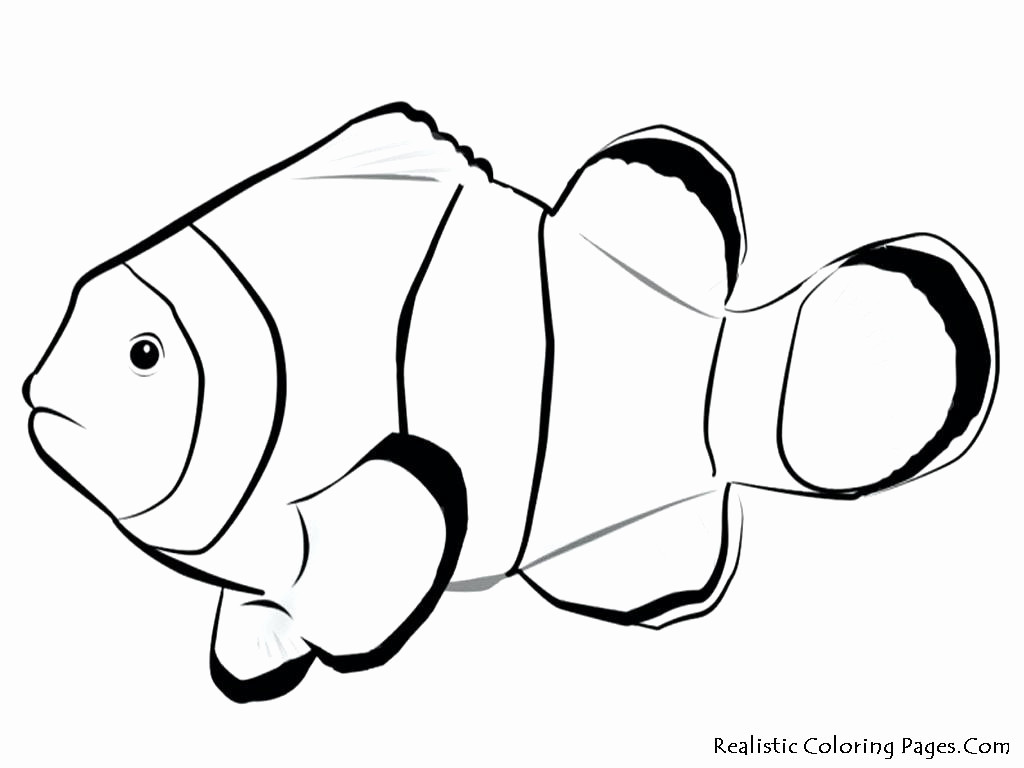 15 Stylish White Fish Bowl Vase 2024 free download white fish bowl vase of fish bowl coloring page free coloring pages intended for fish bowl coloring page with printable pages