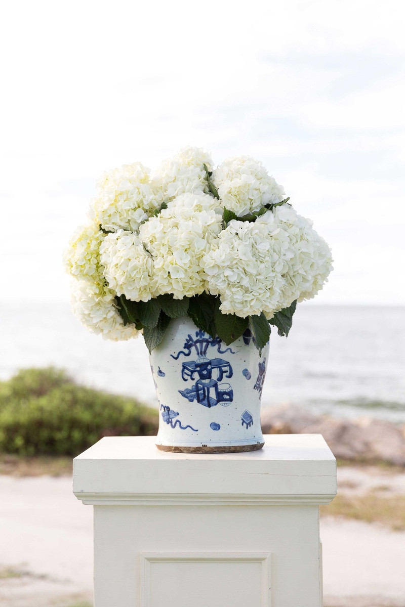 28 Amazing White Hydrangea Arrangement In Glass Vase 2024 free download white hydrangea arrangement in glass vase of awesome blue hydrangea in vase bogekompresorturkiye com with blue hydrangea in vase newest seaside island destination wedding with blue white dac