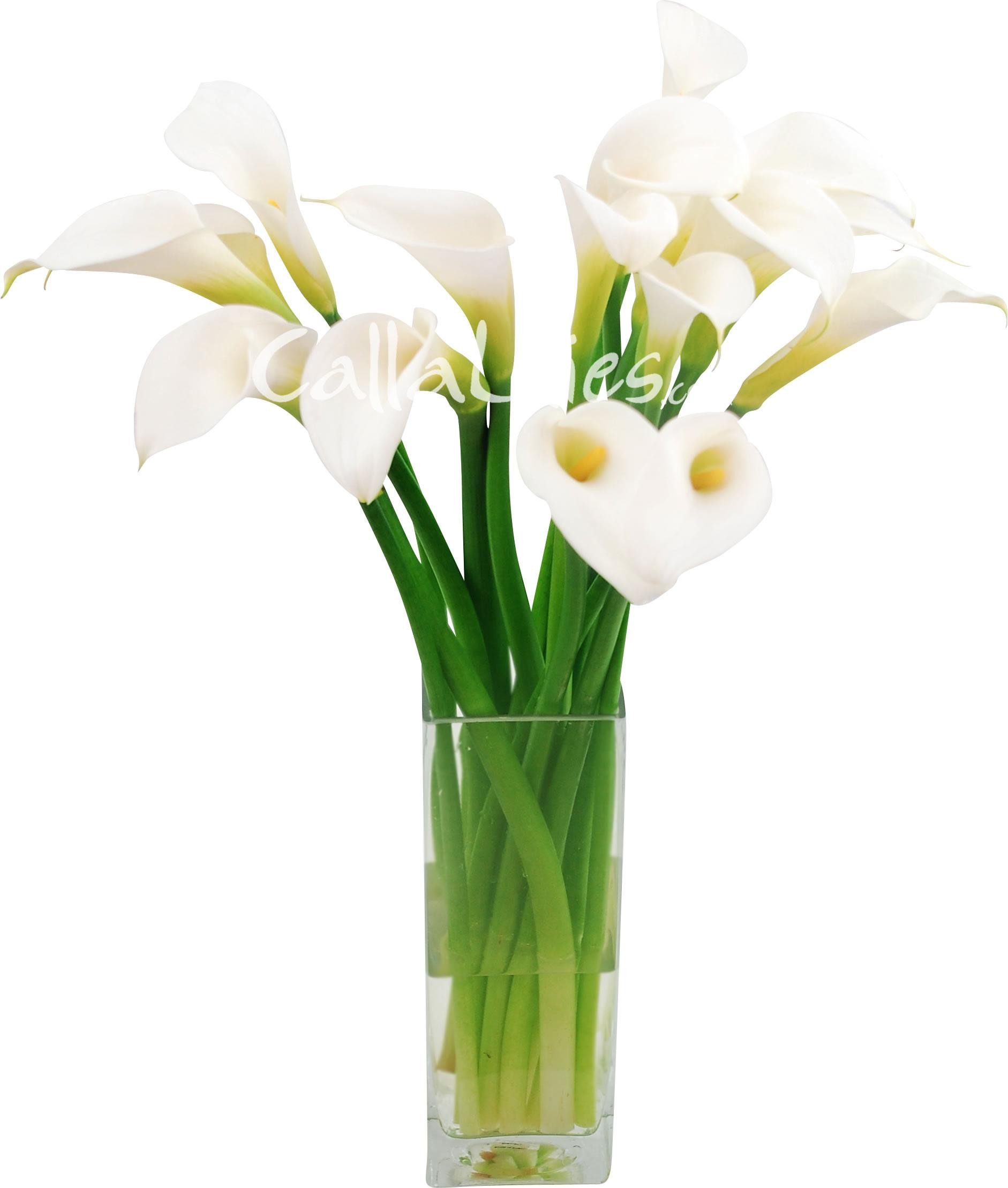 26 Great White Lily Vase 2024 free download white lily vase of calla lily vases photograph 3 od sunflower orange calla lily pink intended for calla lily vases image calla lilies in vase by boston public libraryh vases lily life file