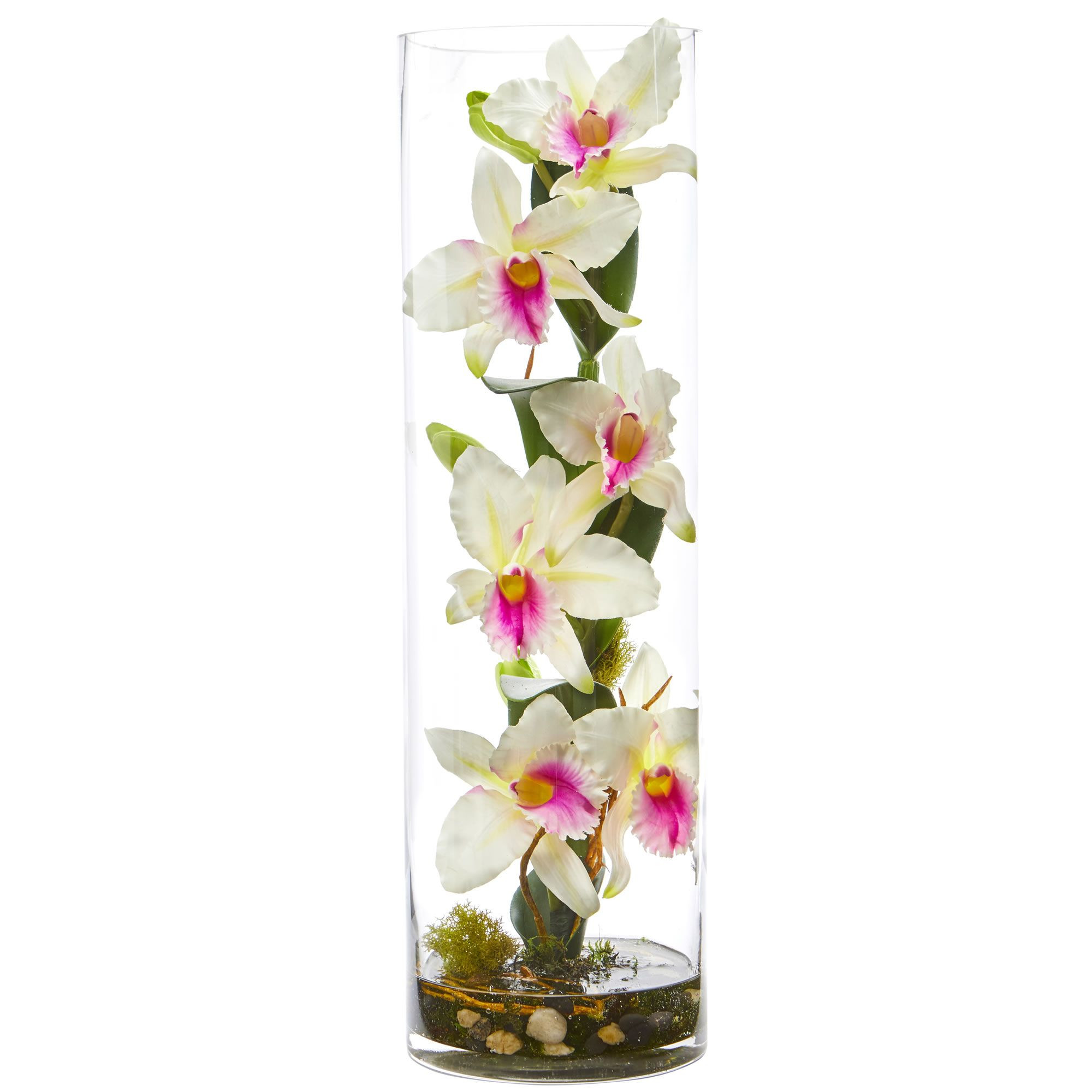 14 Popular White Orchids In Glass Vase Decorative Vase Ideas