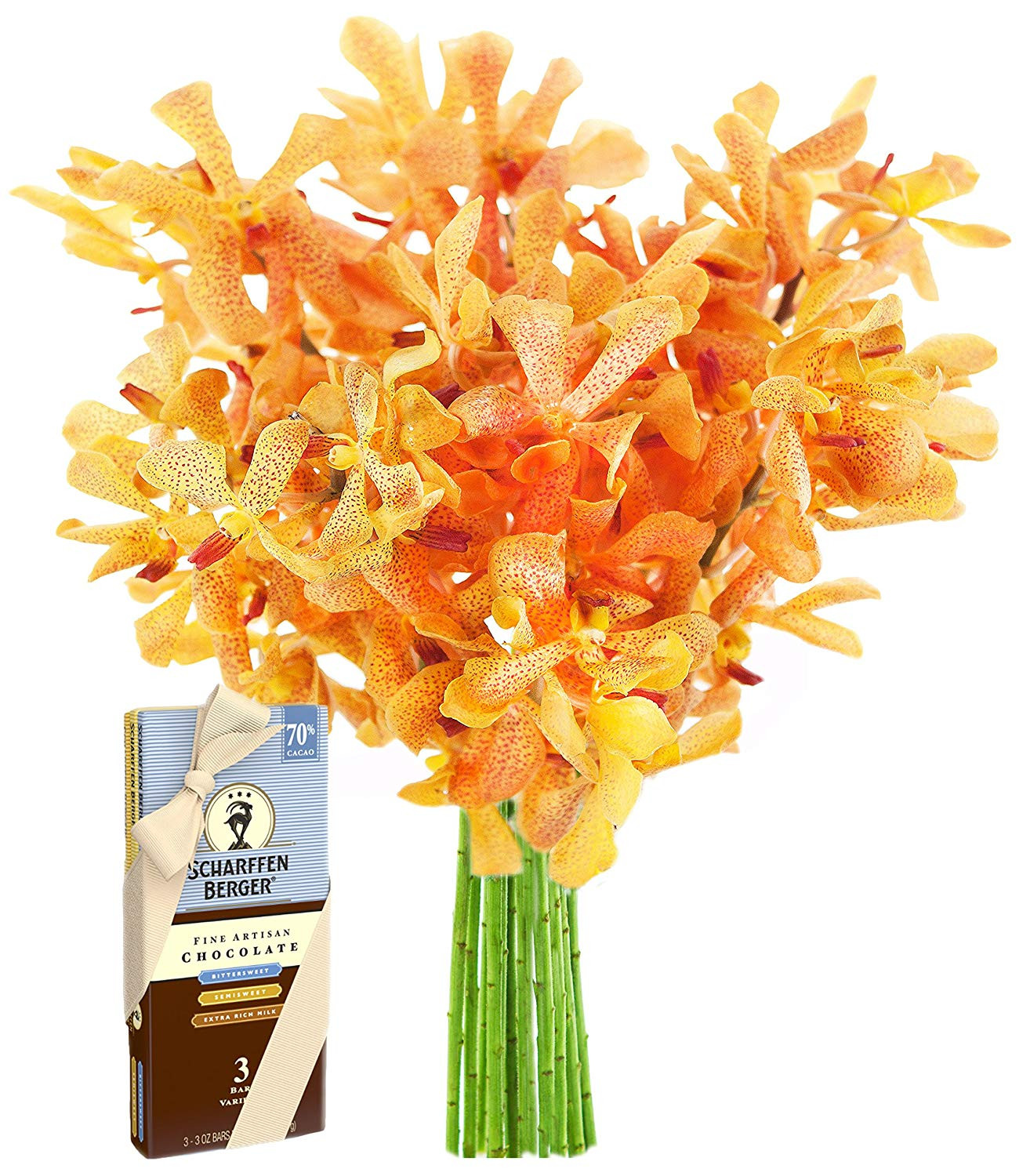 14 Popular White orchids In Glass Vase 2024 free download white orchids in glass vase of amazon com sunset serenade with golden mokara orchids and with regard to amazon com sunset serenade with golden mokara orchids and scharffen berger chocolates 