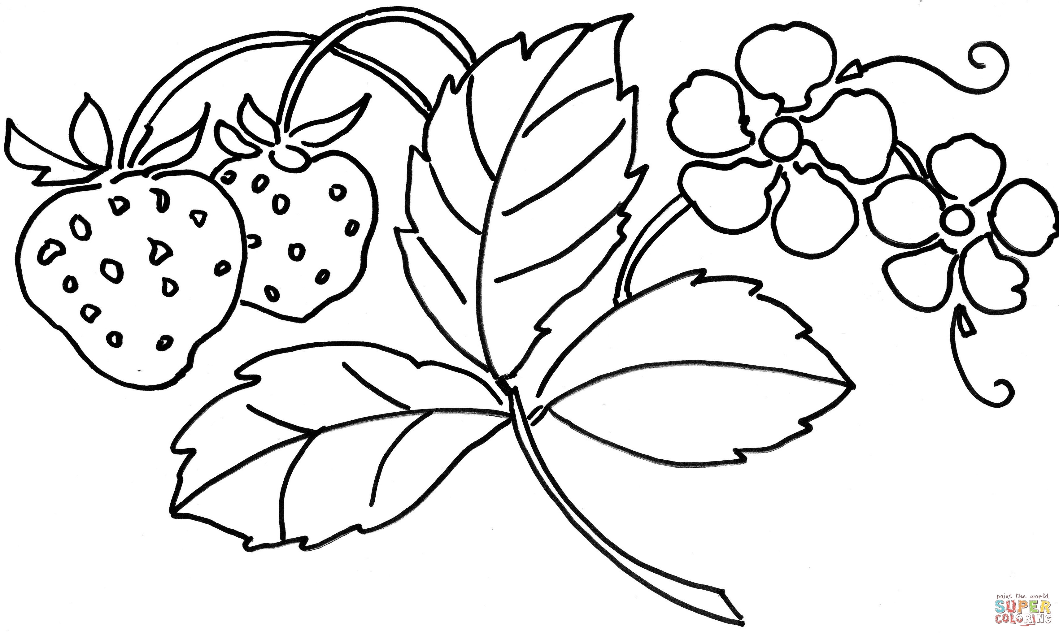 24 attractive White Square Vase 2024 free download white square vase of cool vases flower vase coloring page pages flowers in a top i 0d in painting pages strawberry flower coloring page cool vases flower vase coloring page pages flowers in