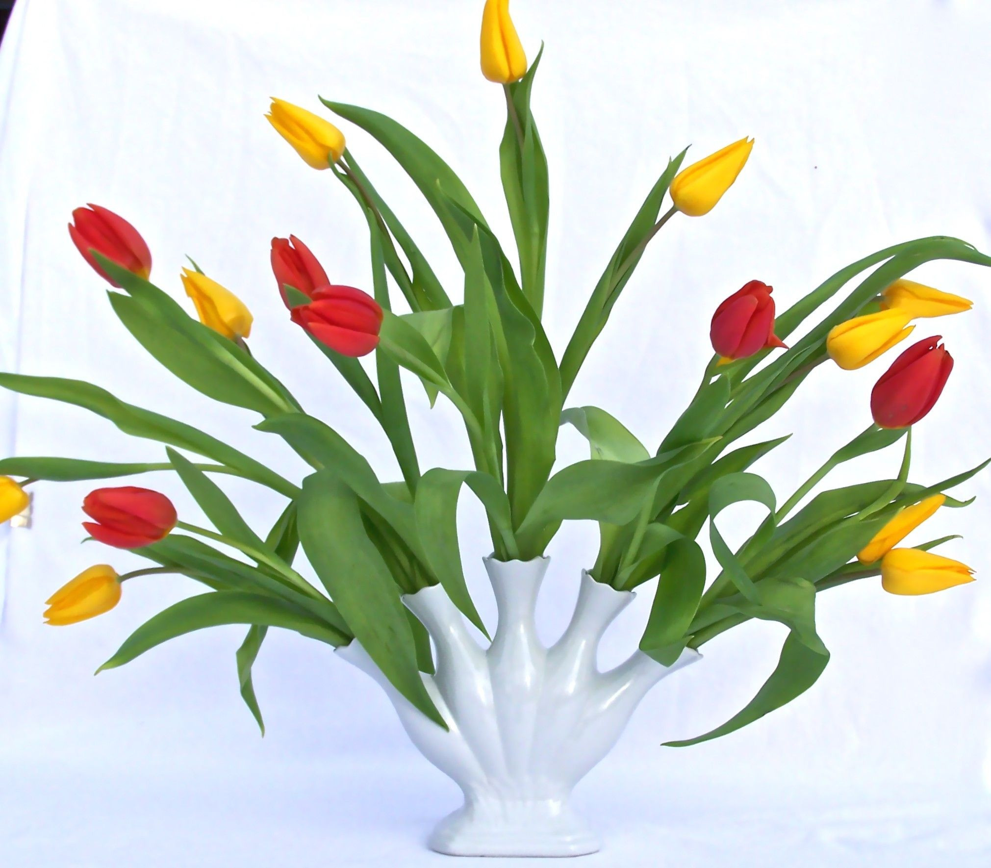 13 Awesome White Tulip Vase 2024 free download white tulip vase of fine white china tulipiere five finger fan flower vase gifts intended for fine white china tulipiere five finger fan flower vase