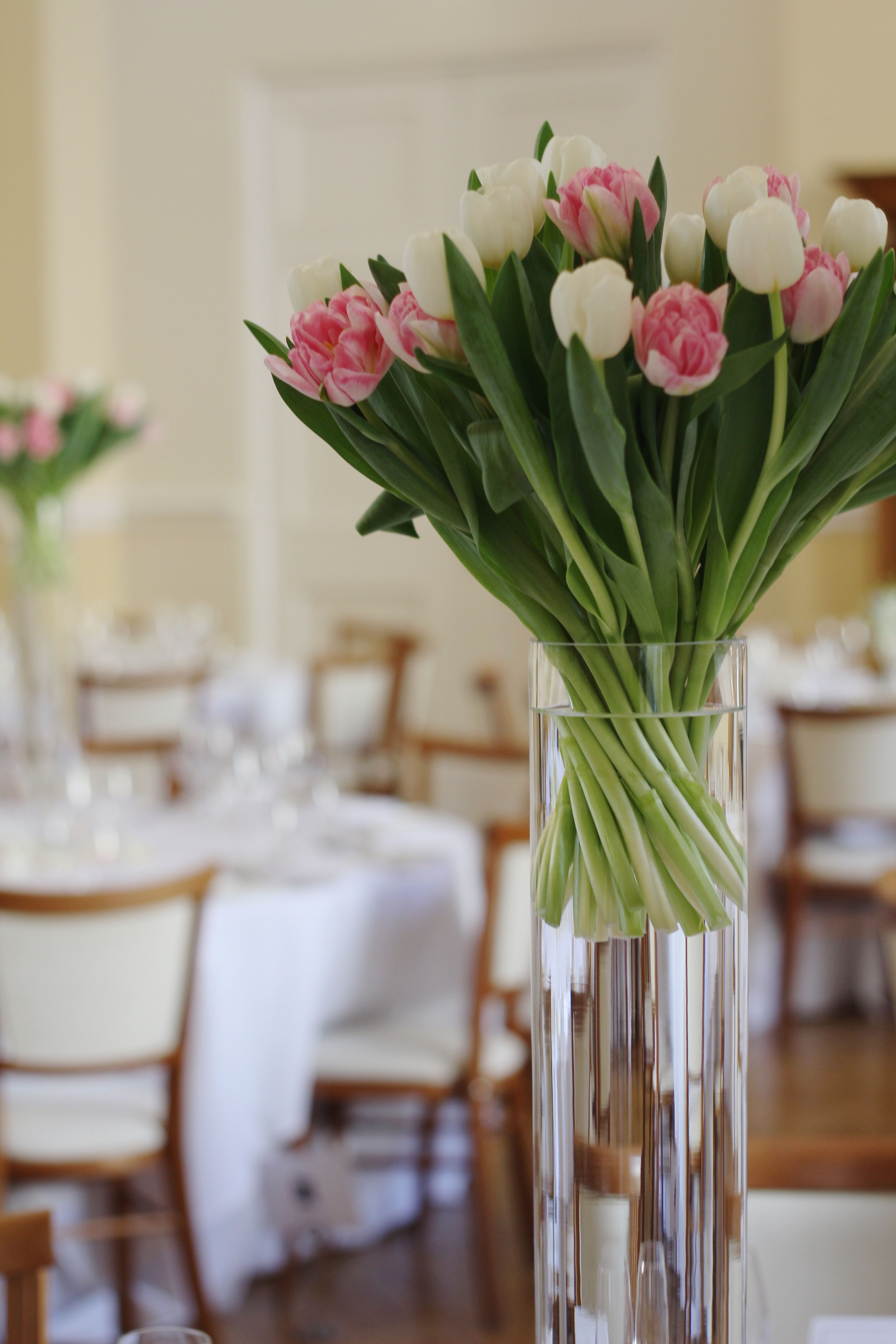 13 Awesome White Tulip Vase 2024 free download white tulip vase of pink and white tulips in tall glass vases created by hannah berry pertaining to pink and white tulips in tall glass vases created by hannah berry flowers www hannahberryf