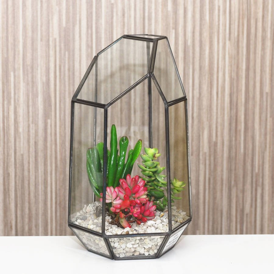 18 Ideal World Market Vases 2024 free download world market vases of geometric glass vase terrarium by dingading terrariums intended for geometric glass vase terrarium